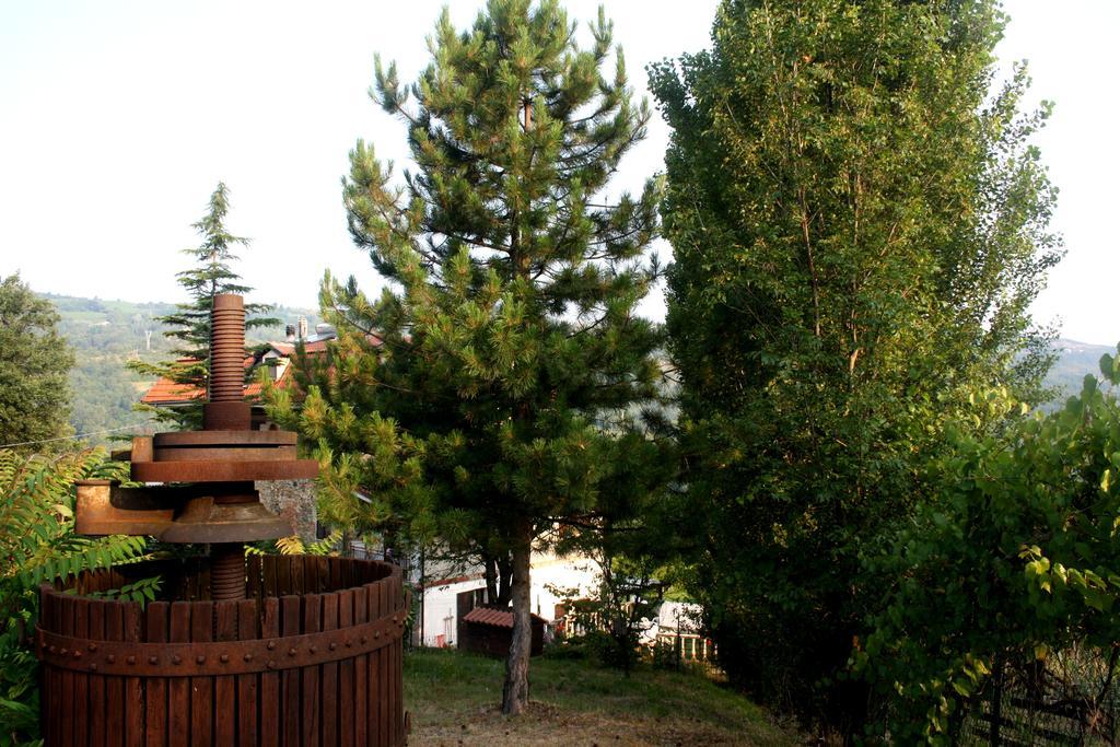 Cascina Ciosse B&B Grognardo Ngoại thất bức ảnh