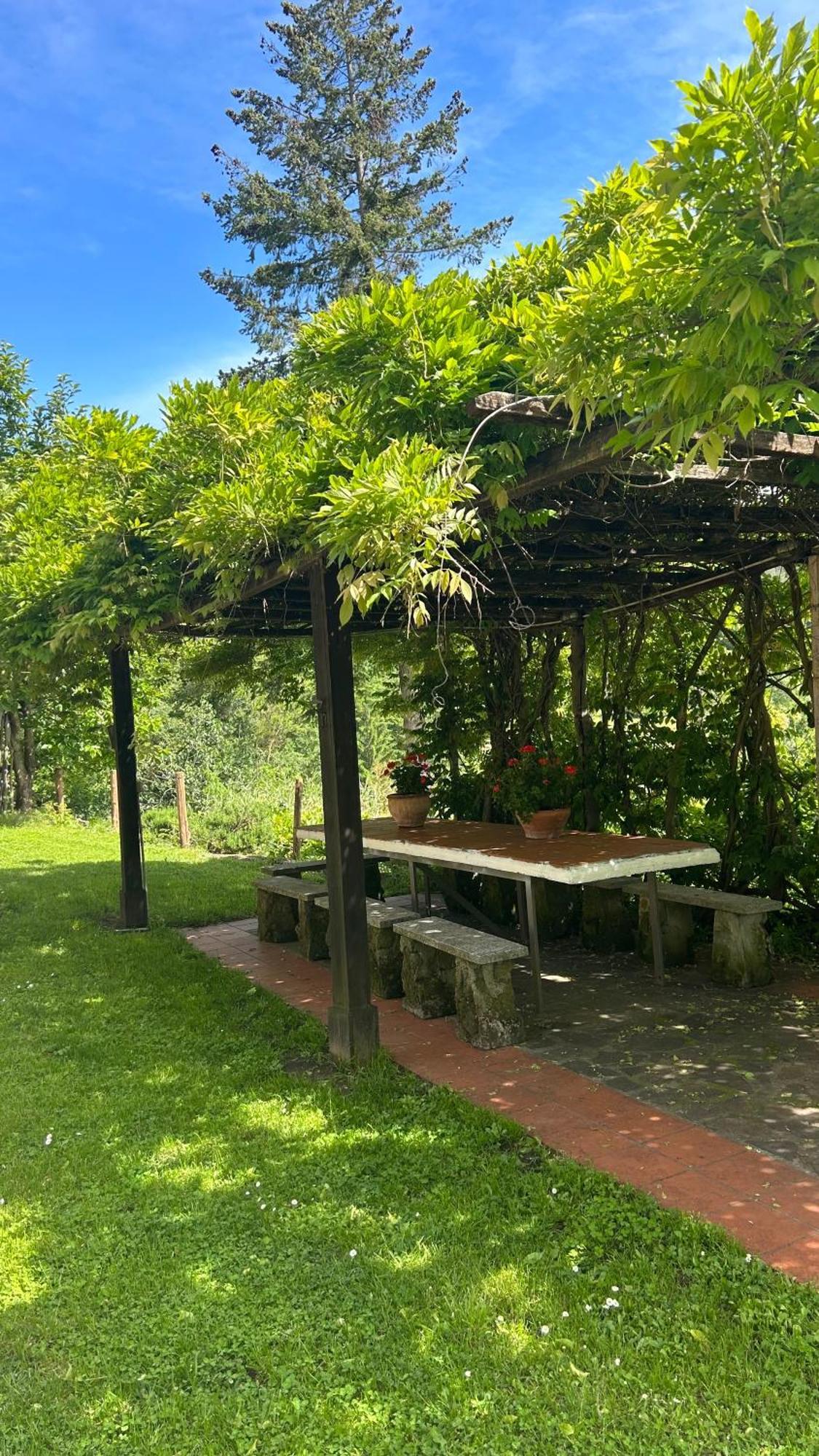 Cascina Ciosse B&B Grognardo Ngoại thất bức ảnh